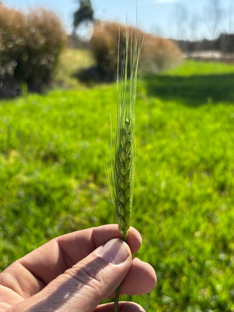 agroecología