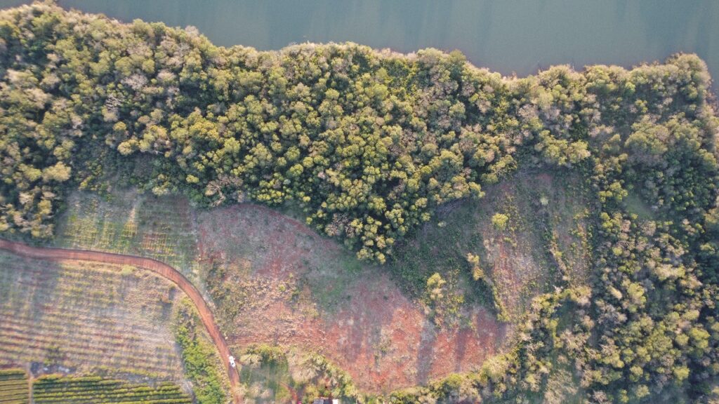 El Ministerio de Ecología constató deforestación en la reserva El Saltito