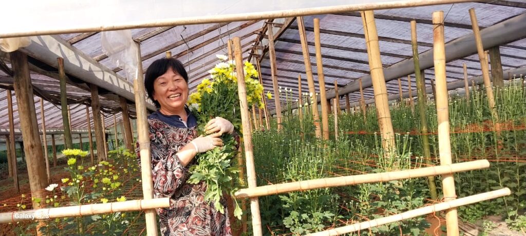 producción floricola