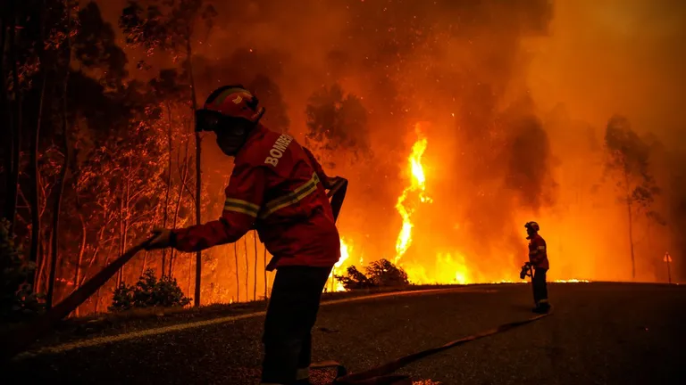 incendios forestales