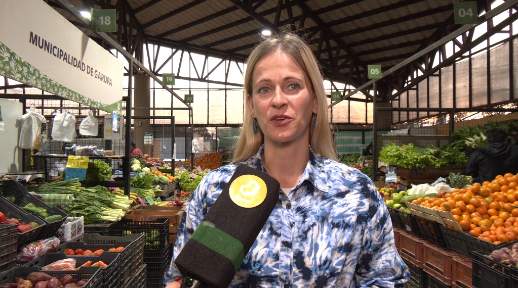 mercado concentrador