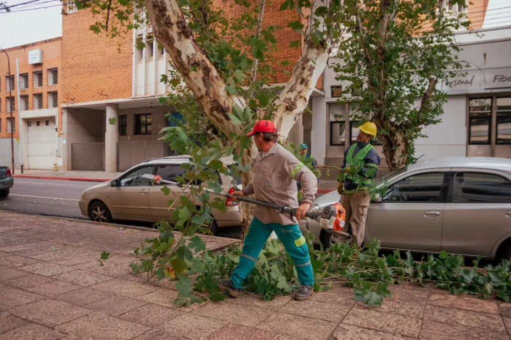 Continúan el operativo integral de poda en barrios de Posadas