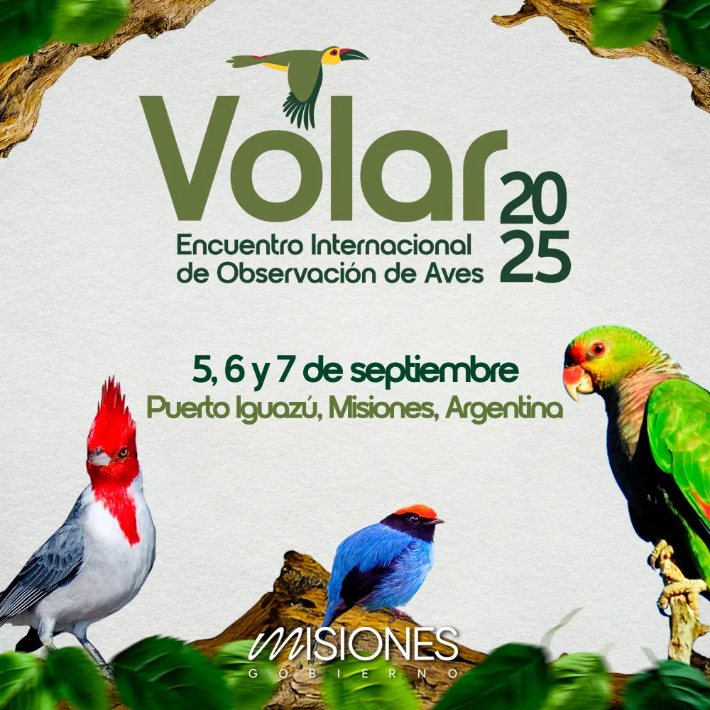 Volar 2025: Misiones se consolida como capital regional del avistaje de aves 11 Volar 2025: Misiones se consolida como capital regional del avistaje de aves imagen-10