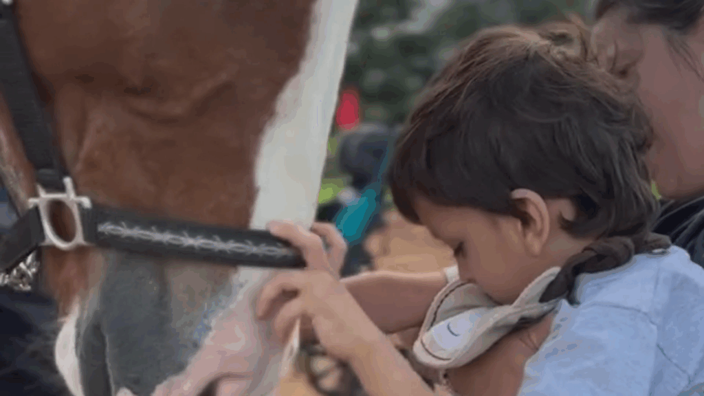 Misiones discapacidad