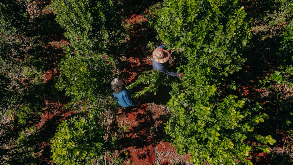 Legisladores frente a la desregulación del Inym: “Acá no hay banderas políticas, pero sí un ideal común, el de defender nuestro producto emblemas” imagen-16
