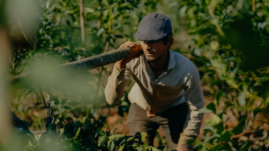 A la espera del amparo judicial: advierten que sin un Inym activo no habrá reglas claras para el sector imagen-15