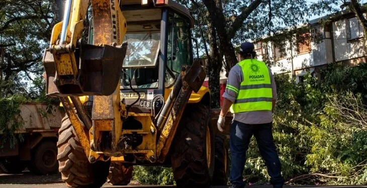 Operativo de poda en Posadas: estos son las horarios y chacras para hoy