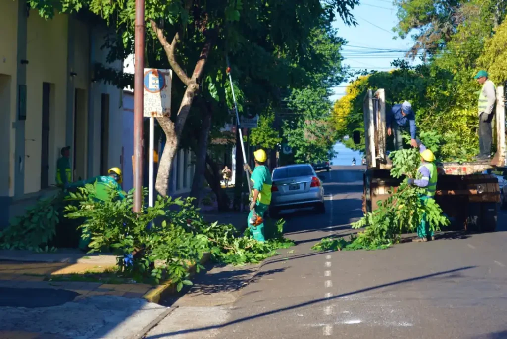 Continúa el Operativo Integral de Poda en Posadas: zonas de tránsito, barrios y horarios