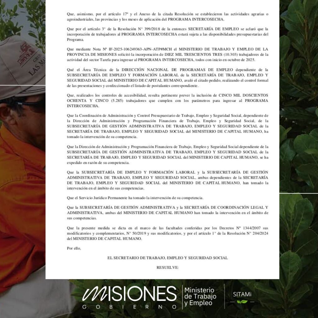 Un alivio para el sector yerbatero: 5.285 tareferos recibirán el subsidio Intercosecha desde octubre 13 Un alivio para el sector yerbatero: 5.285 tareferos recibirán el subsidio Intercosecha desde octubre imagen-12