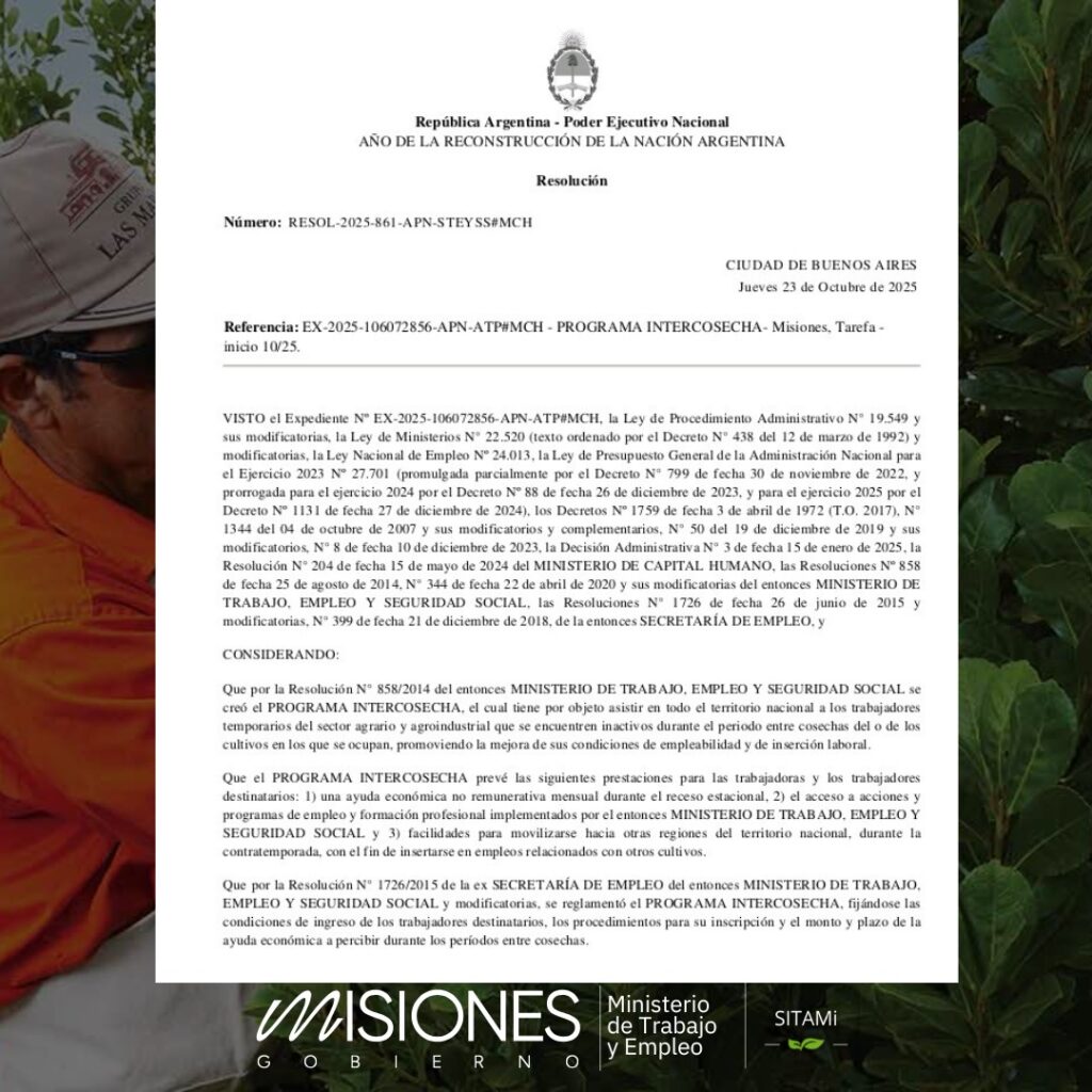 Un alivio para el sector yerbatero: 5.285 tareferos recibirán el subsidio Intercosecha desde octubre 9 Un alivio para el sector yerbatero: 5.285 tareferos recibirán el subsidio Intercosecha desde octubre imagen-8