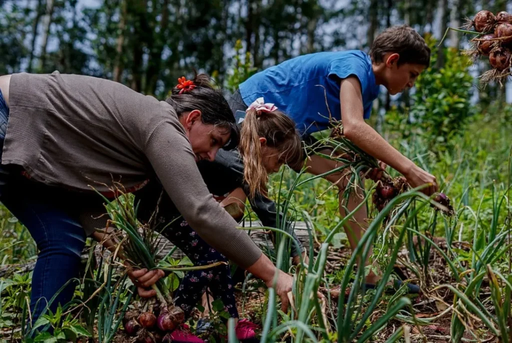 Misiones entrega créditos y plantines para impulsar a las chacras multiproductivas 11 Misiones entrega créditos y plantines para impulsar a las chacras multiproductivas imagen-10