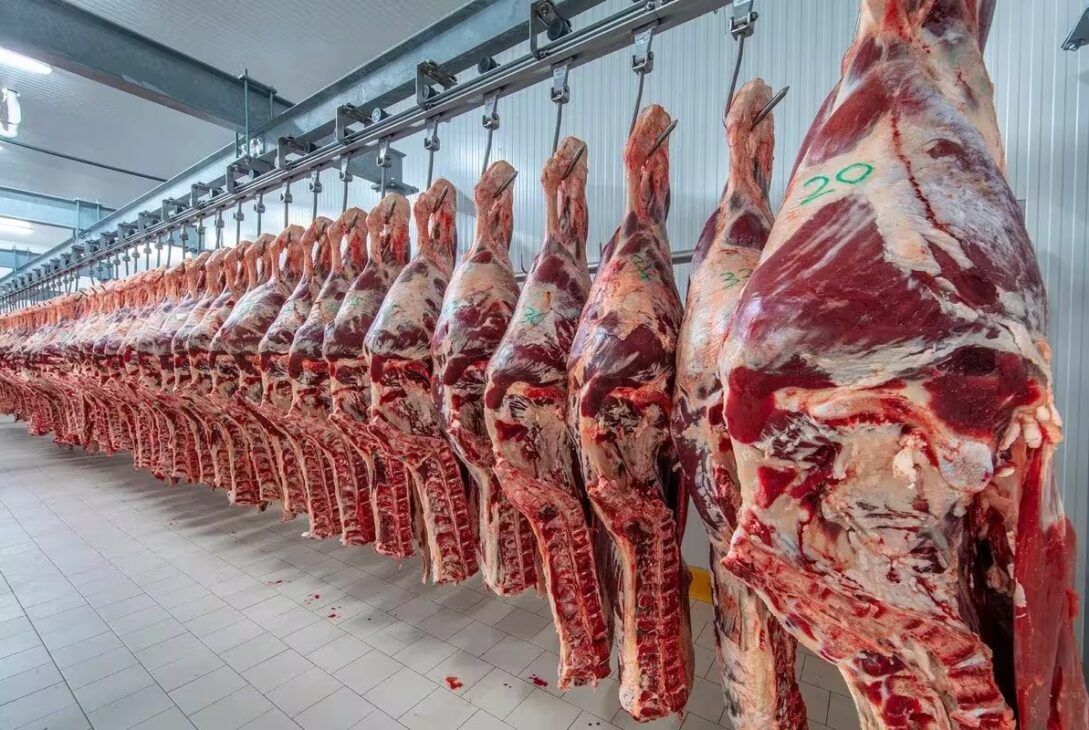 El precio de la carne vacuna dispara cambios en los hábitos de consumo: familias ajustan la mesa frente a la inflación imagen-5