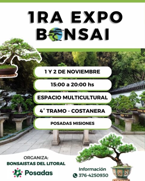 expo bonsai