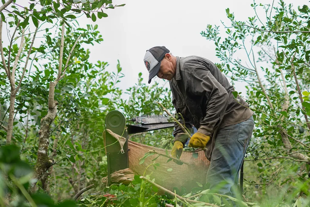 Dura respuesta del vicegobernador a Núñez: “Es imposible recorrer Misiones y no ver la crisis” 11 Dura respuesta del vicegobernador a Núñez: “Es imposible recorrer Misiones y no ver la crisis” imagen-10