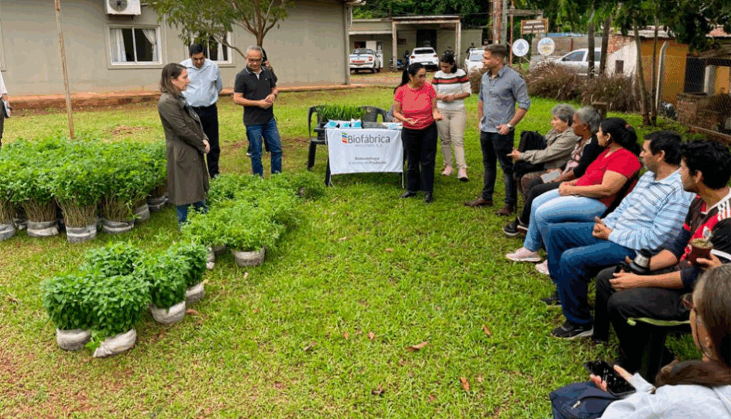 Misiones tendrá su primera planta de cultivos medicinales en Santa Ana imagen-10