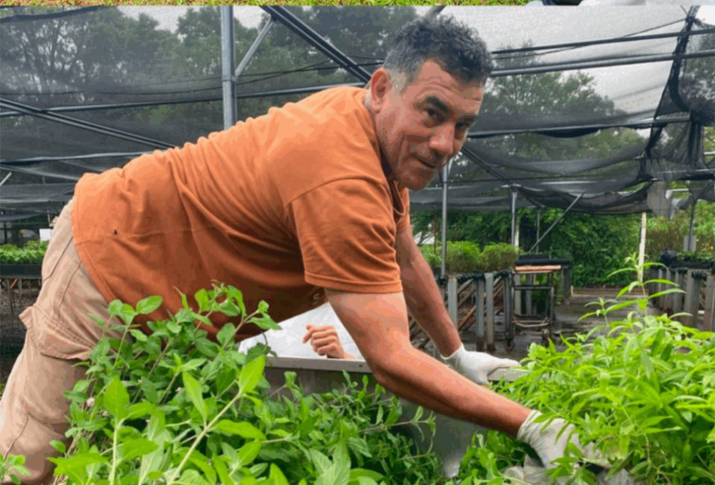 Misiones tendrá su primera planta de cultivos medicinales en Santa Ana imagen-14