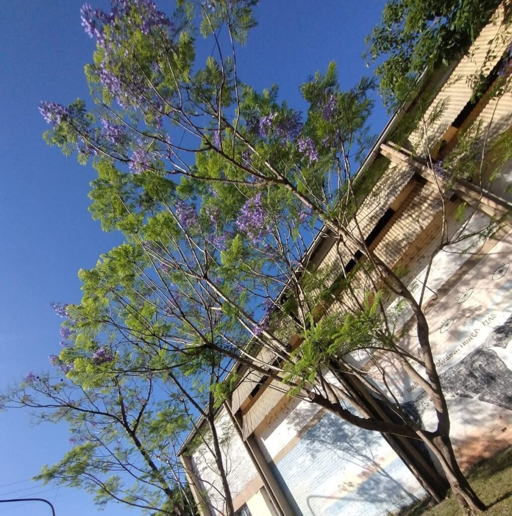 Cerro Azul