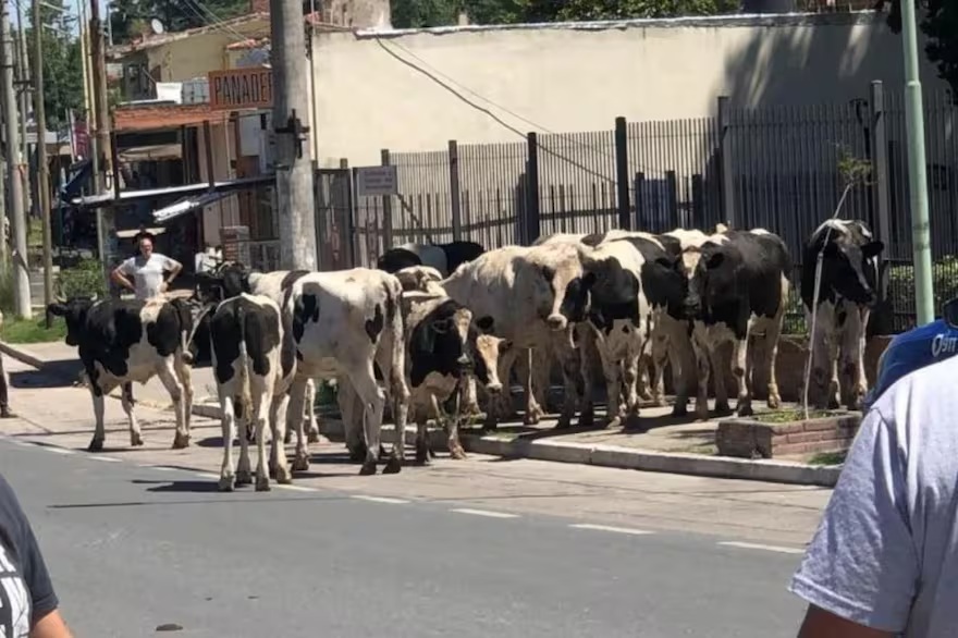 córdoba accidente