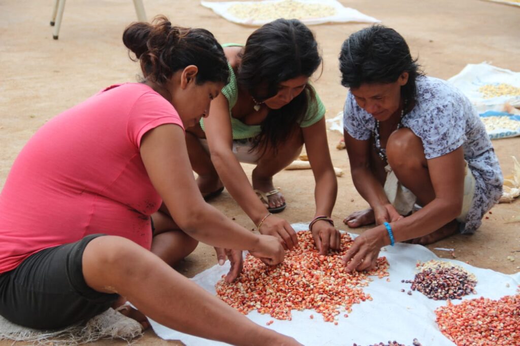 Agricultura Familiar cumple una década con impacto en más de 16 mil familias misioneras imagen-7