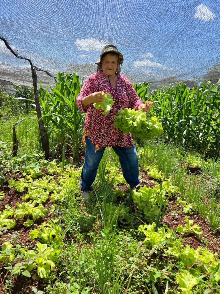 Agricultura Familiar cumple una década con impacto en más de 16 mil familias misioneras imagen-15