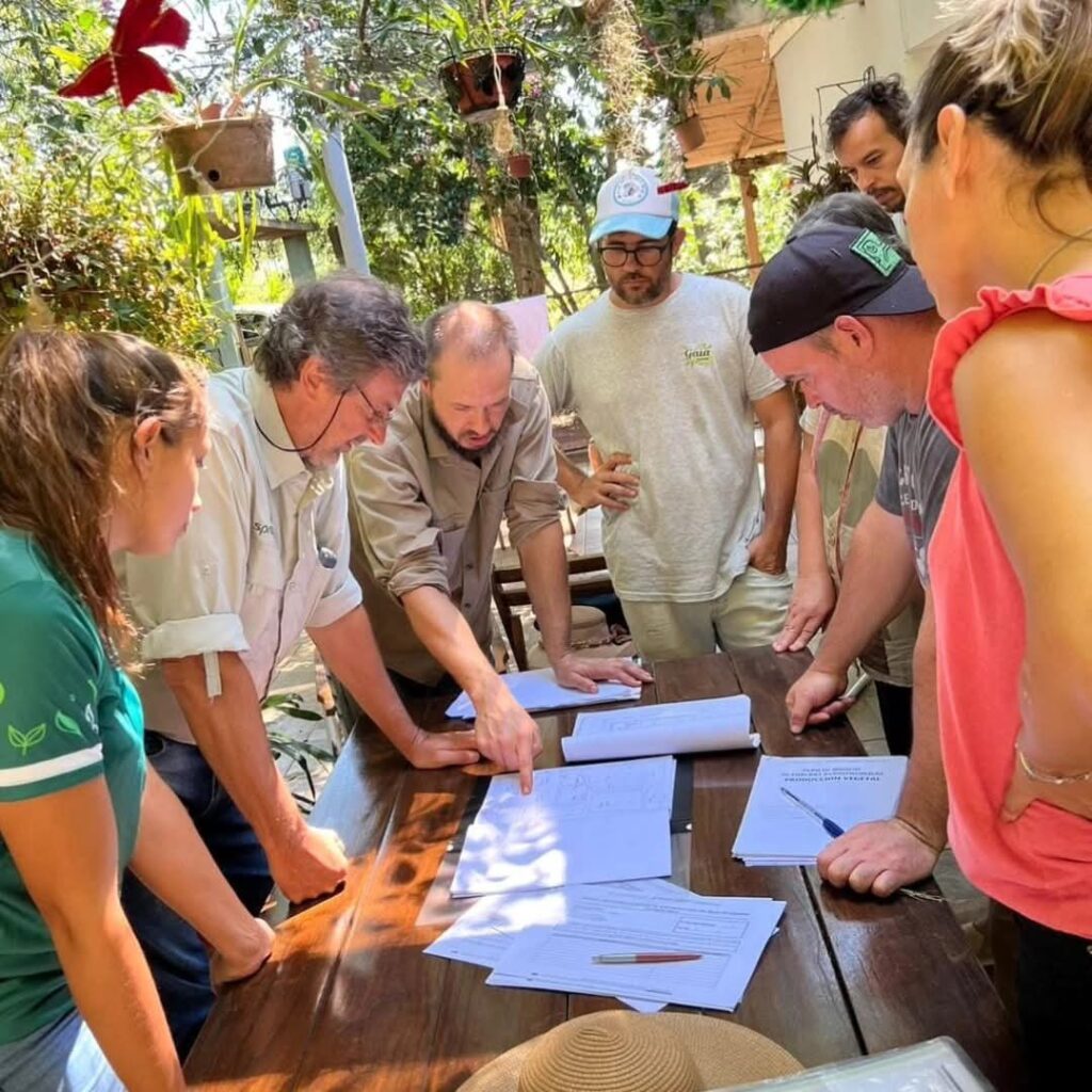 Agricultura Familiar cumple una década con impacto en más de 16 mil familias misioneras imagen-51