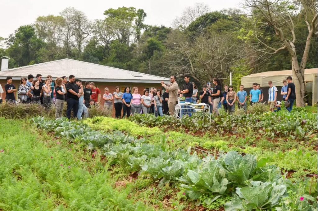 Agricultura Familiar cumple una década con impacto en más de 16 mil familias misioneras imagen-55