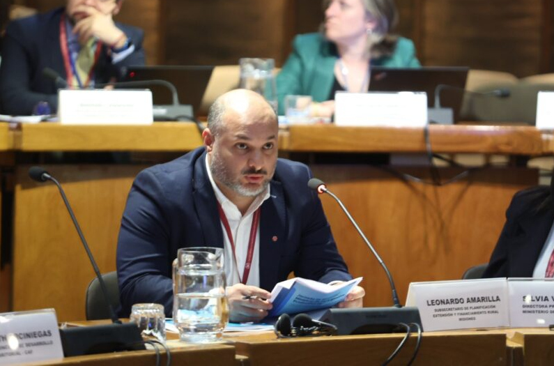 Anticipan aumento de precios de la yerba en góndolas por la suba de la estampilla imagen-10