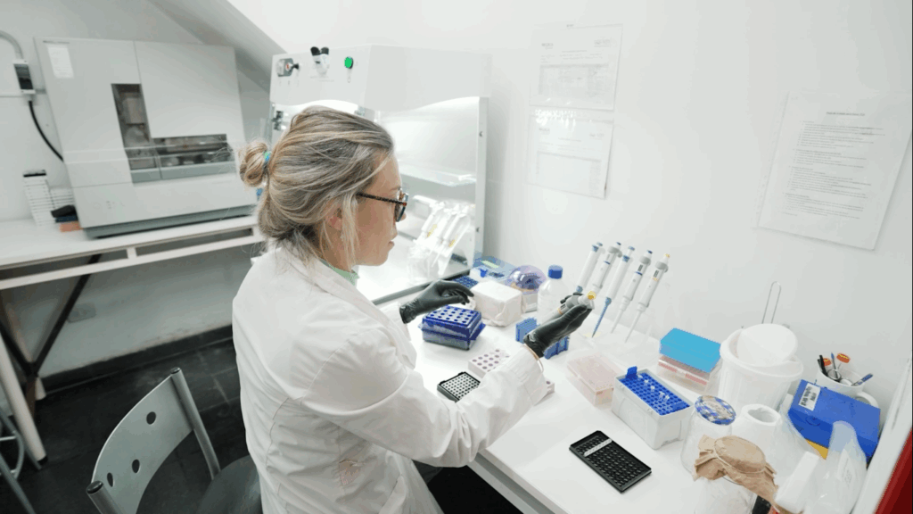 Investigadores misioneros desarrollaron un biopestisida para combatir el HLB imagen-14