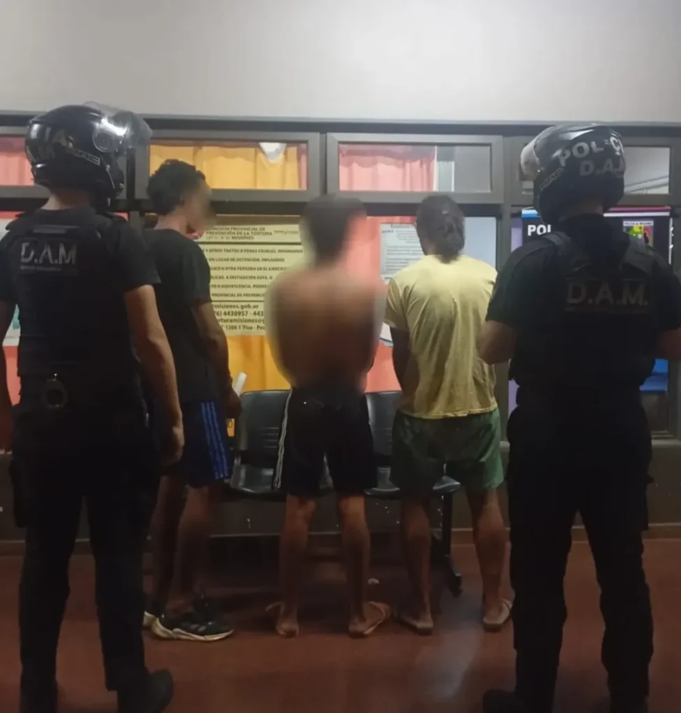 Operativos policiales simultáneos permitieron detenciones y recupero de bienes robados en Misiones imagen-29