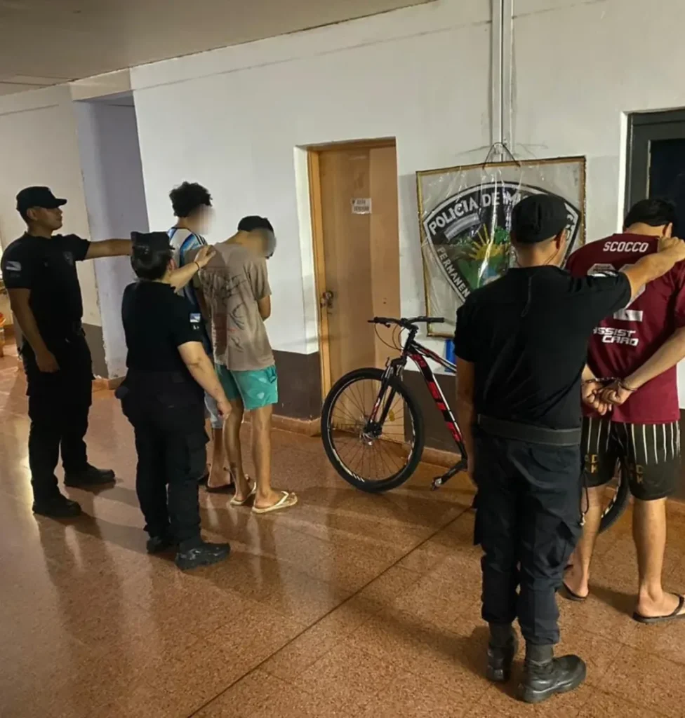 Operativos policiales simultáneos permitieron detenciones y recupero de bienes robados en Misiones imagen-17