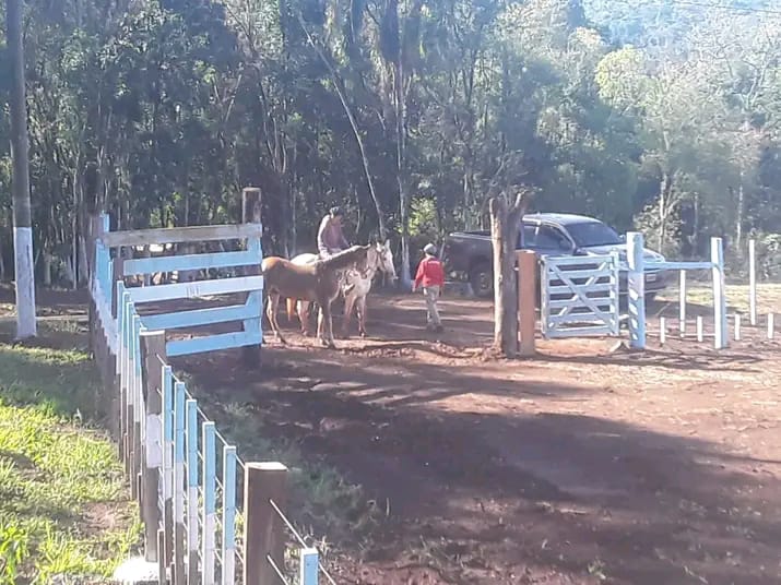 Jineteada Nocturna: una invitación que une turismo y tradición en 9 de Julio imagen-17