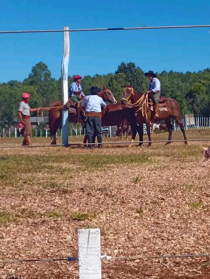 Jineteada Nocturna: una invitación que une turismo y tradición en 9 de Julio imagen-13