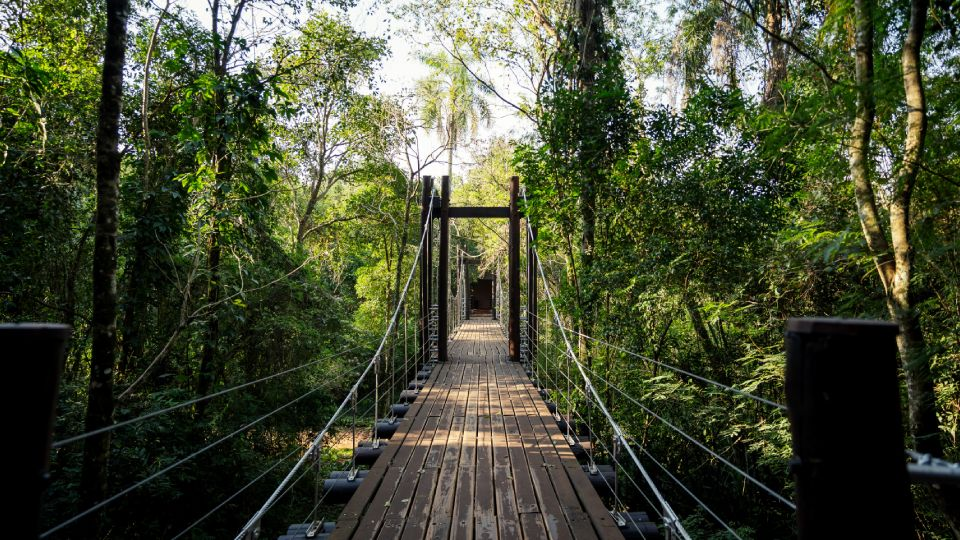 Inversión millonaria en Iguazú: avanza la ampliación del complejo turístico sustentable de Loi Suites imagen-14