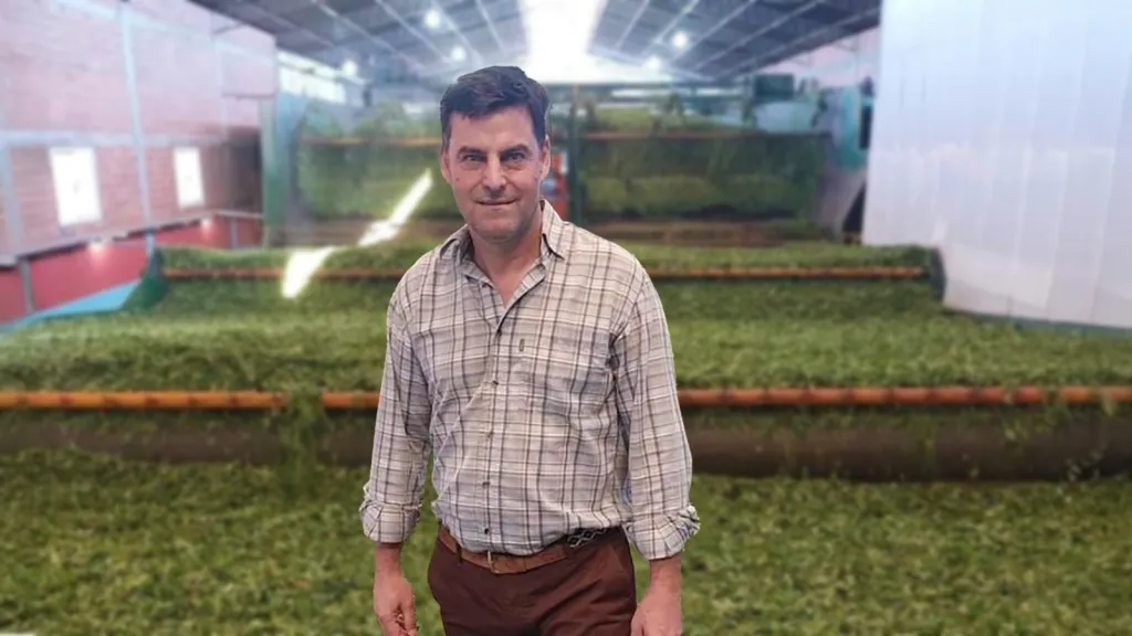 Tecnología, innovación y yerba mate libre de humo, las claves que le permitieron a una cooperativa misionera acceder al mercado chino imagen-14