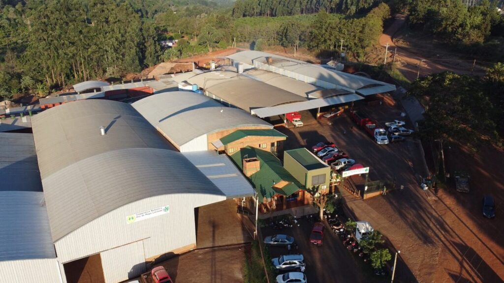 De Misiones a China: cómo una cooperativa logró colocar yerba mate en el mercado asiático imagen-14