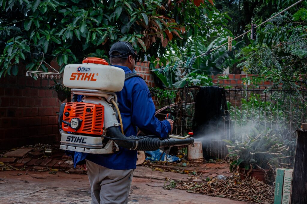 Chikungunya