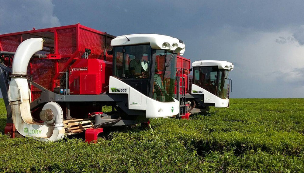 Expo Agroindustrial Oberá: empresa expondrá tecnología de precisión para la yerba mate y té imagen-10