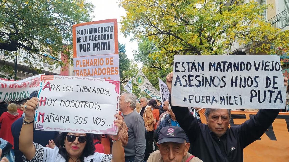Bronca y malestar de los médicos del PAMI contra el ajuste del Gobierno nacional: “La situación es lamentable” imagen-14