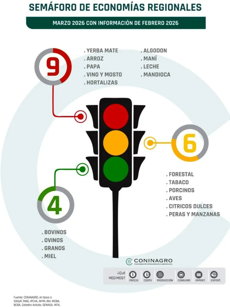 Misiones exige igualdad tributaria para la fécula de mandioca con apoyo del sector productivo y empresarial imagen-7