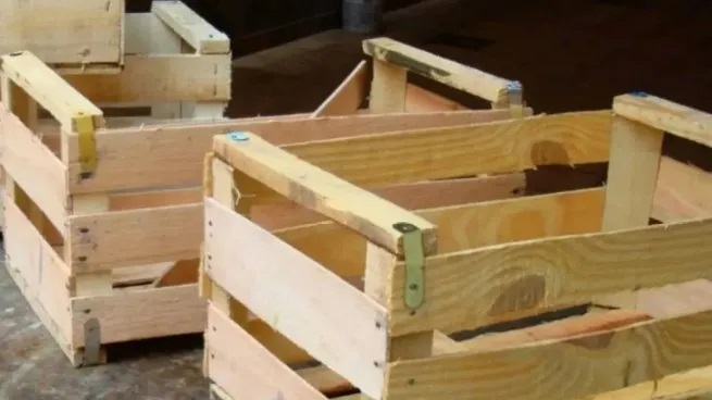 Las inundaciones arrasaron la producción hortícola en Santa Fe y anticipan suba de precios imagen-10