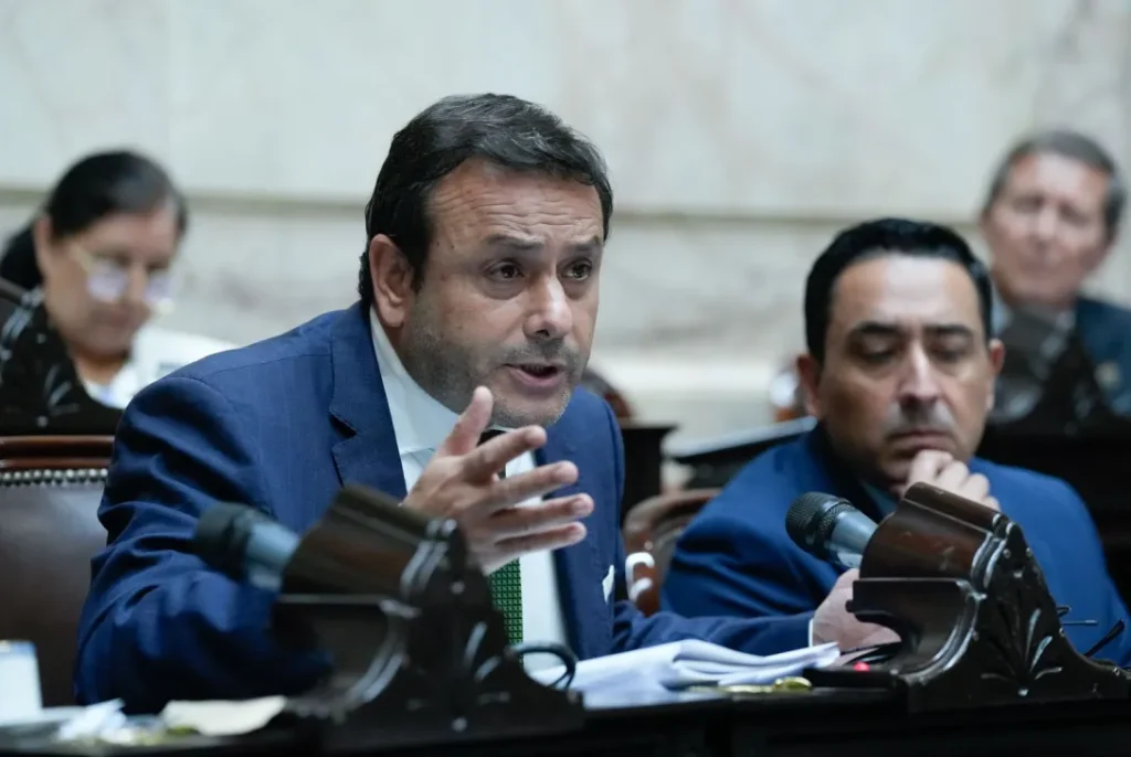 El proyecto de Herera Ahuad para reducir el IVA a la fécula de mandioca beneficiará a miles de personas celíacas en el país