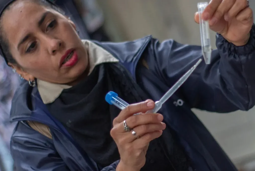 Dengue y El Niño: Misiones se prepara y pone el foco en la prevención antes del verano