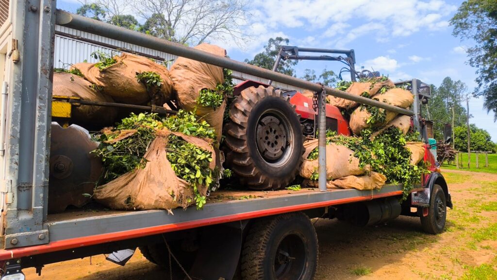 Yerbateros - desregulación yerbatera - Inym - Yerba mate- Milei en Iguazú Misiones - productores yerbateros- tractorazo - Foto Marcos Canal Doce Otaño septiembre 2026