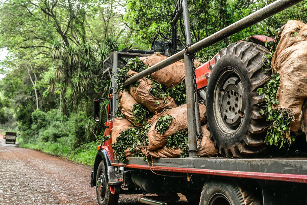 Yerbateros - desregulación yerbatera - Inym - Yerba mate- Milei en Iguazú Misiones - productores yerbateros- tractorazo - Foto Marcos Canal Doce Otaño septiembre 2026