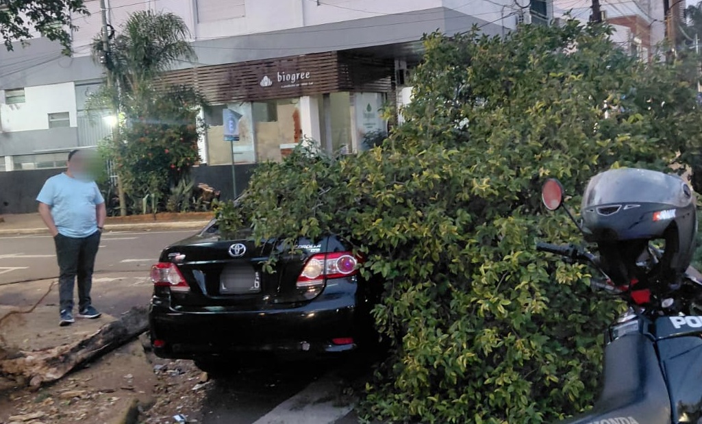 Un conductor se habría dormido y chocó contra un árbol en Posadas